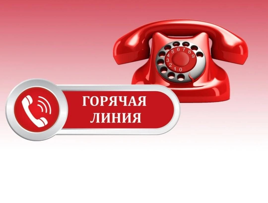 Оператором «Горячей линии» Министерства труда за истекший период 2024 года принято около 8 тысяч звонков от жителей Дагестана